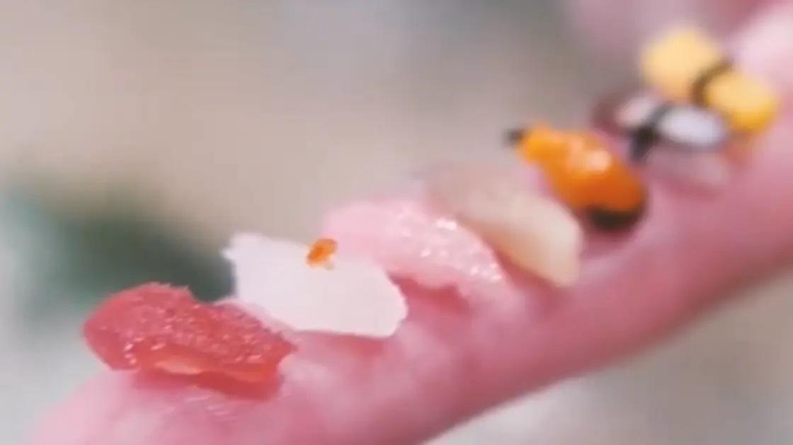 بحبة أرز واحدة...طبق سوشي غريب يشغل اليابان!