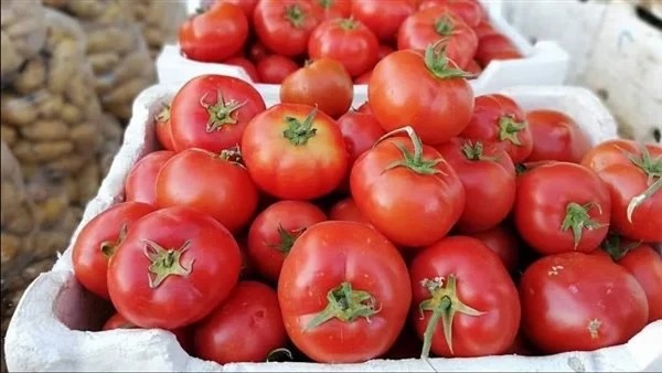 10 فوائد لتناول عصير الطماطم .. تقوي صحة العين والعظام الأبرز