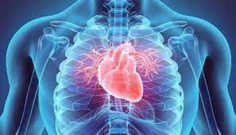 ما هي مؤشرات القلب السليم؟!