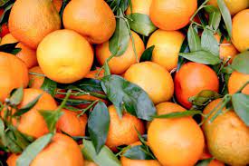 تأثير تناول البرتقال على فعالية الأدوية: ما يجب معرفته