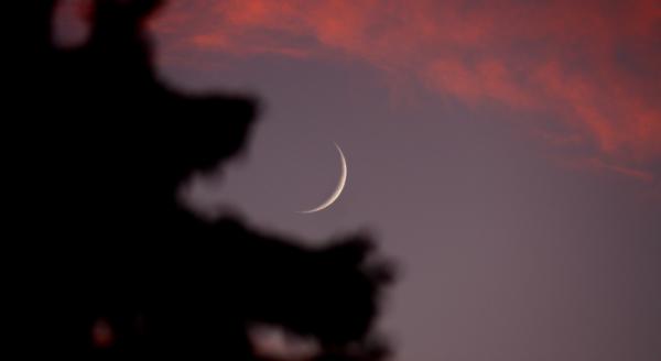 الفلك الدولي: رؤية هلال رمضان الأحد غير ممكنة