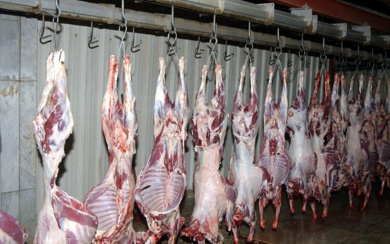 أسعار اللحوم البلدية والمستوردة تشهد ارتفاعا غير مسبوق