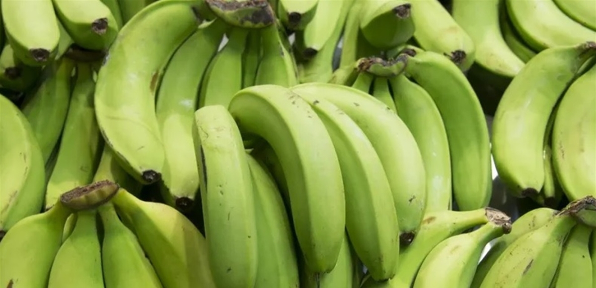 طبيب يكشف فوائد الموز لصحة القلب
