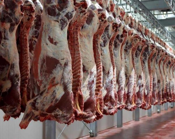 الحياري: كميات اللحوم المحلية و المُستوردة بالأسواق كافية
