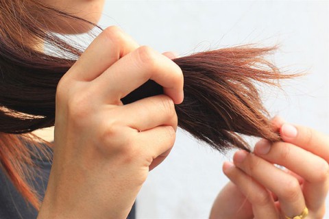 كيفية علاج جفاف أطراف الشعر باستخدام العلاجات الطبيعية