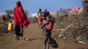 برنامج الأغذية العالمي يحذر من مجاعة غير مسبوقة في السودان