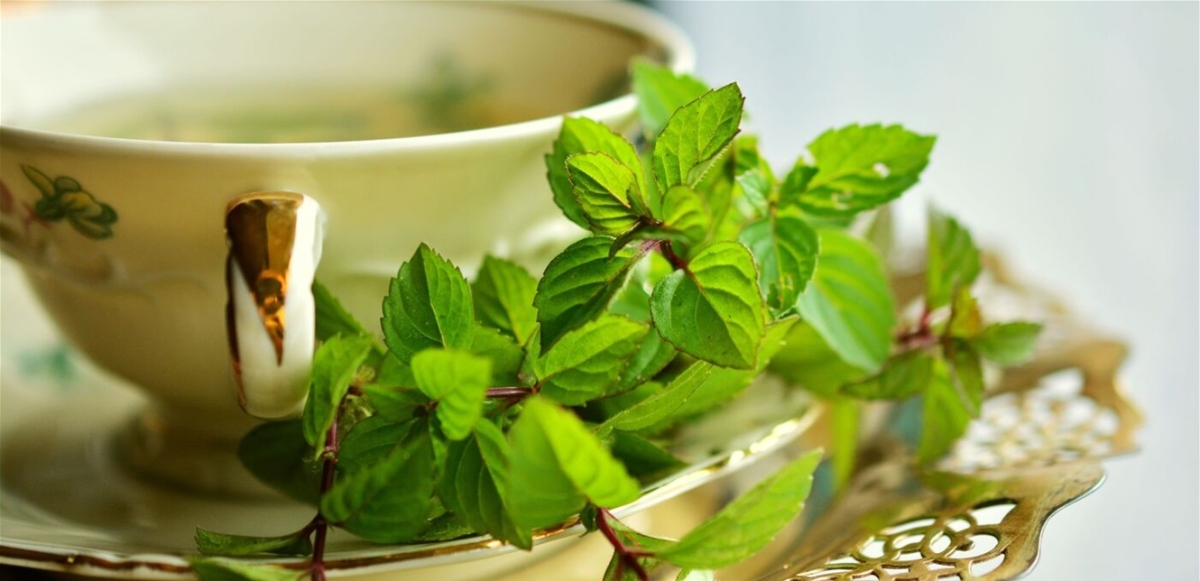 الشاي يساعد في مكافحة فيروس كورونا.. هذا ما كشفته أحدث دراسة