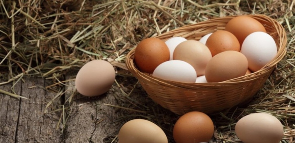 5 أطعمة تحتوي على بروتين أكثر من البيض.. تعرفوا إليها