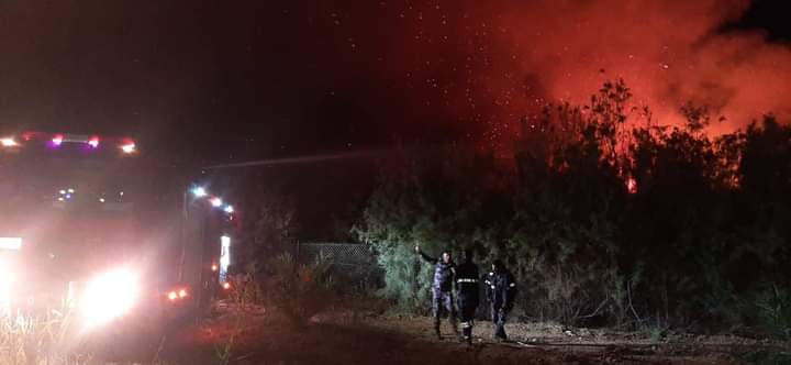 بالصور ... اخماد حريق في منطقة داميا بالبلقاء