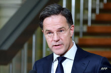 رئيس وزراء هولندا يدعو لدخول مزيد من المساعدات إلى غزة