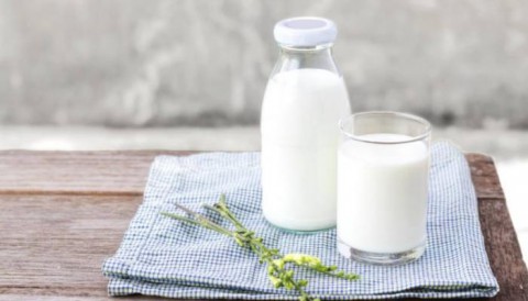 هل يشكل استهلاك الحليب ومنتجاته خطرًا على صحة كبار السن؟