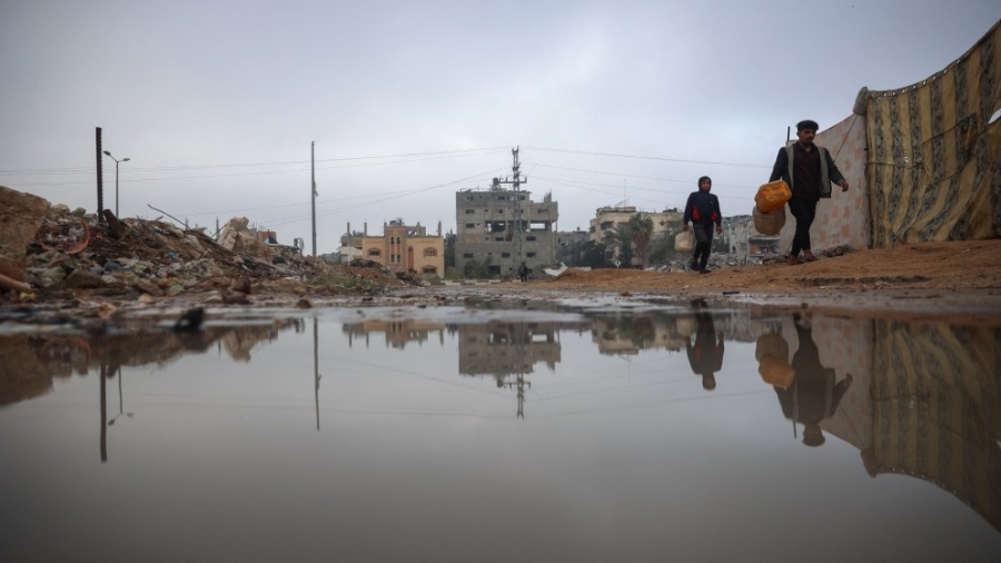 الحمير شريان حياة لسكان غزة في ظل العدوان الإسرائيلي المتواصل