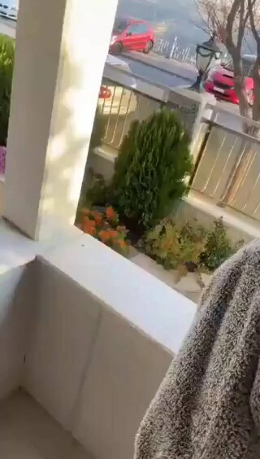 إطلاق نار في محيط القصر الجمهوري بالعاصمة السورية دمشق