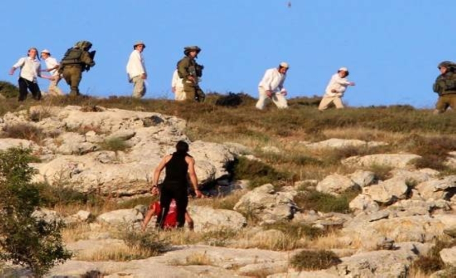 الأمم المتحدة: عام 2024 كان الأكثر عداوة من قبل المستوطنين بالضفة الغربية