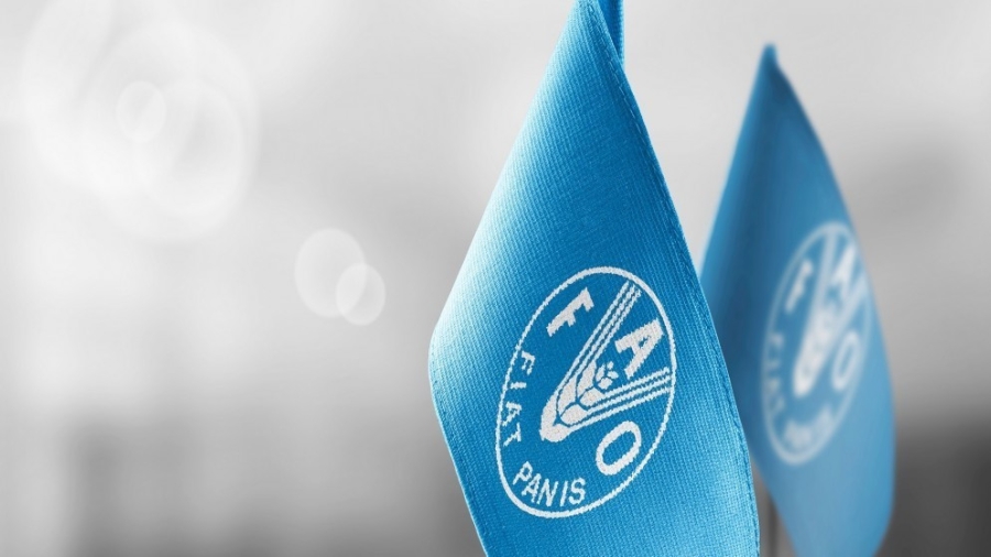 الفاو توقع اتفاقيات لتقديم منح لـ106 مستفيدين في مادبا وذيبان