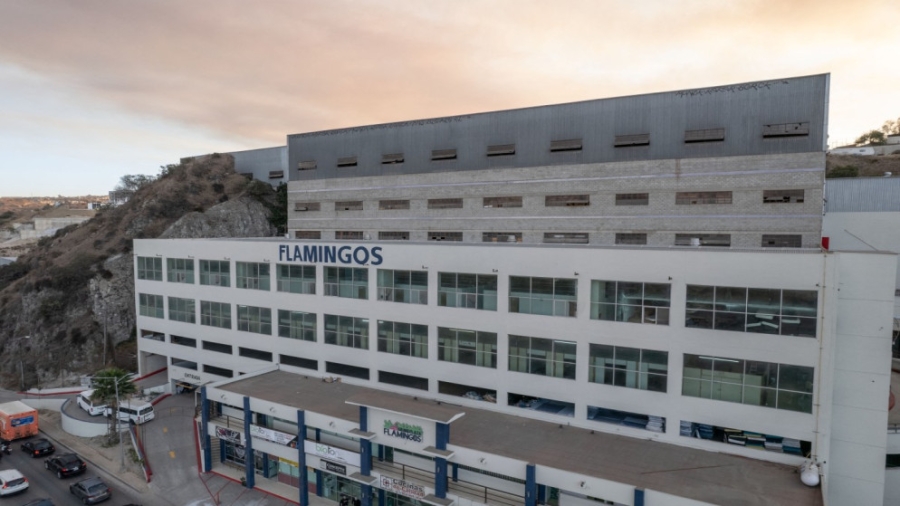 المكسيك تستعد لاستقبال أول المرحلين من الولايات المتحدة في عهد ترامب