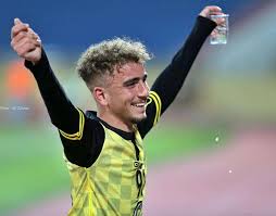 لاعب الحسين إربد سيف درويش ينتقل إلى فريق الصريح