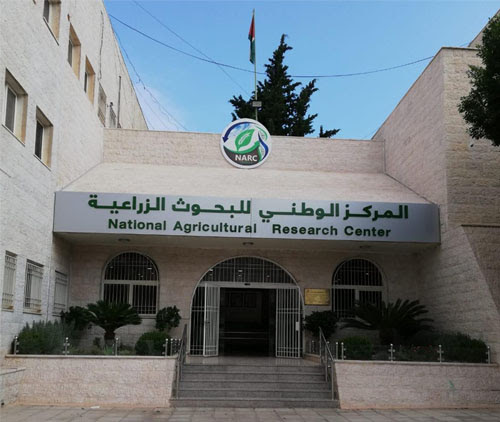 ابوحمور: تحويل ٩ قضايا لهيئة النزاهة وإعادة تقييم لأنجازات المراكز البحثية والمحطات