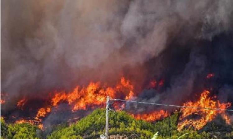 اليابان: حرائق الغابات تواصل انتشارها وتلتهم 1800 هكتار