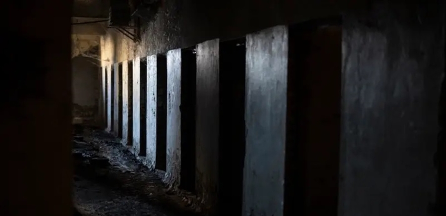 فنانة سُجِنَت في عهد بشار الأسد: كنت شوف كل يوم سيارات دفن الموتى