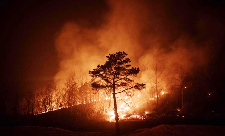 ارتفاع حصيلة ضحايا الحرائق في كوريا  إلى 30 قتيلا و70 مصابا