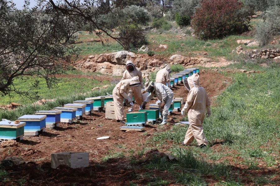 زراعة جرش تتفقد مشاريع تربية النحل