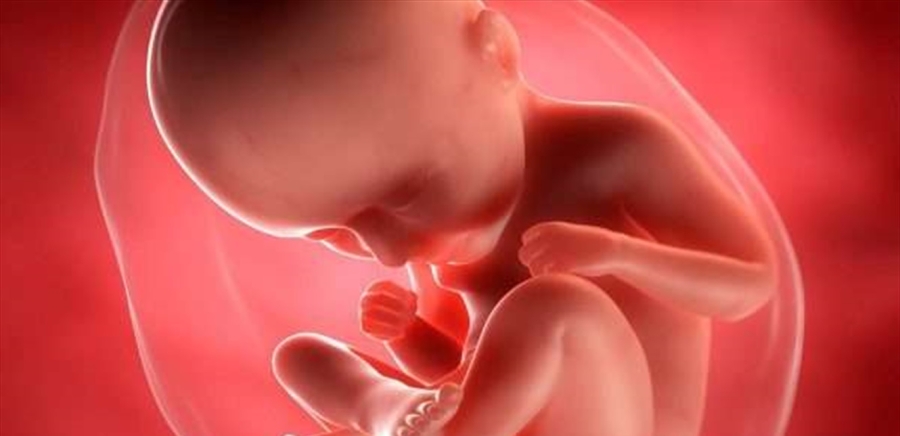 النظام الغذائي الصحي في الحمل يعزز ذكاء الطفل