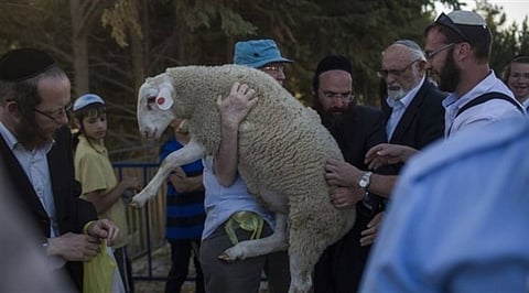 جماعات الهيكل المزعوم تدعو للبدء بذبح القرابين في الأقصى