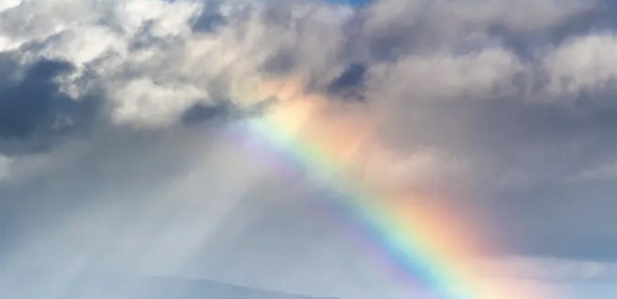 لون غير موجود.. دراسة جديدة تكشف: إنه مجرد خدعة