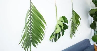 أحد السعف.. أفكار لتحويل أوراق النخيل لقطع ديكور مميزة في المنزل