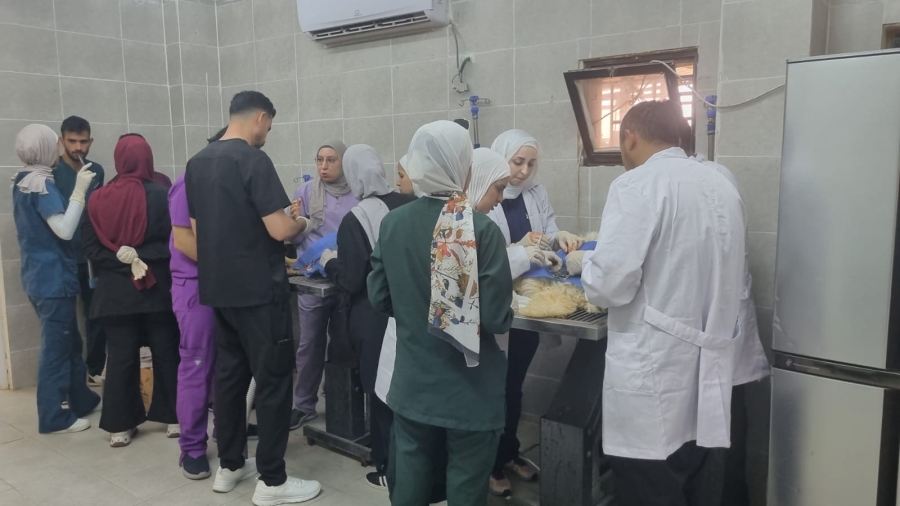 الأمانة تعقد دورة لطلاب جامعة العلوم والتكنولوجيا حول السيطرة على الكلاب الضالة