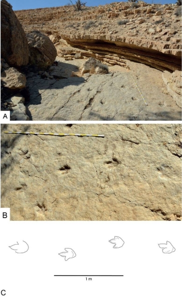 بالصور .. اكتشاف آثار أقدام ديناصورات شمال غرب البترا