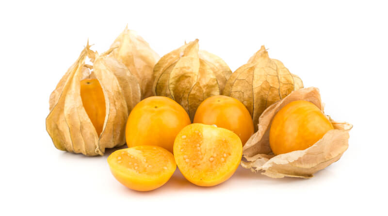 بيخسس ويجدد خلايا البشرة.. اعرفى فوائد الحرنكش لجمالك