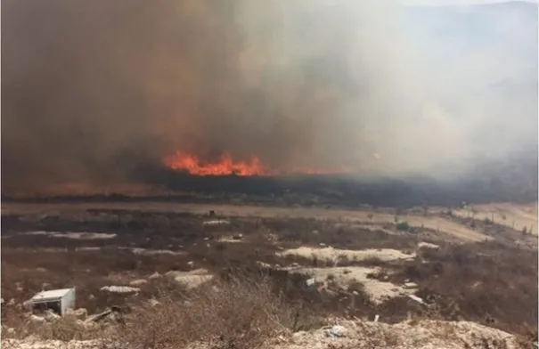 الاعلام العبري: الحرائق التهمت 12 ألف دونم في القدس