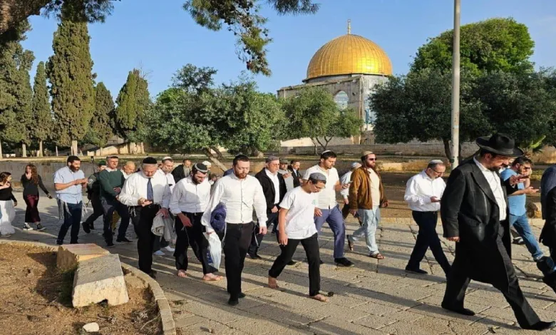 عشرات المستوطنين يؤدون “السجود الملحمي” في باحات الأقصى