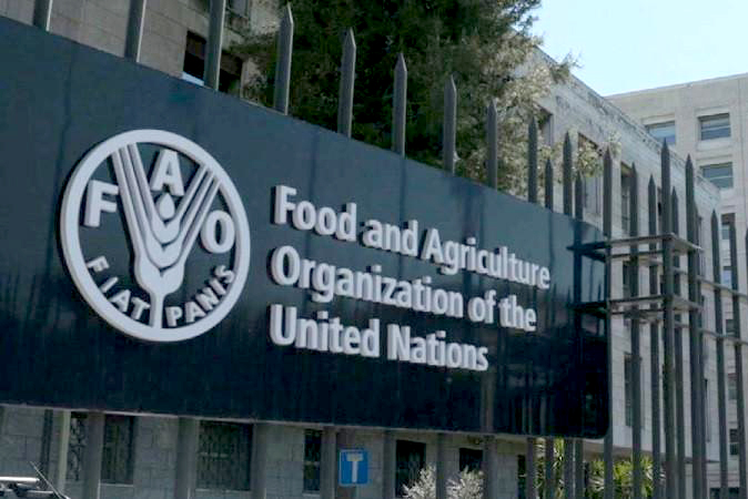 أسعار الغذاء العالمية ترتفع إلى أعلى مستوى منذ عامين في نيسان