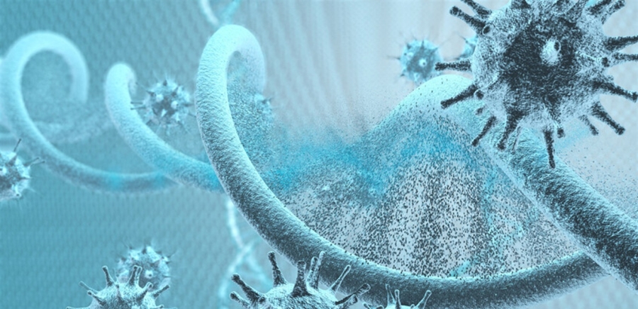 جديدة ومثيرة للقلق.. آلية يستخدمها فيروس الإنفلونزا للتحايل على جهاز المناعة