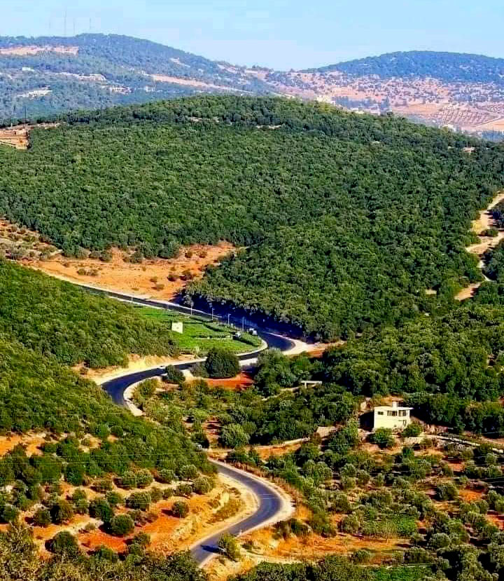 مدير زراعة عجلون: تحريج 20 ألف دونم نقلة نوعية للمحافظة بيئياً وسياحياً