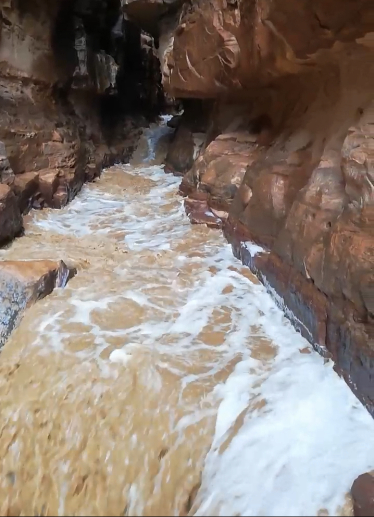 أمطار غزيرة في البترا وسلطة الإقليم تدعو للحذر