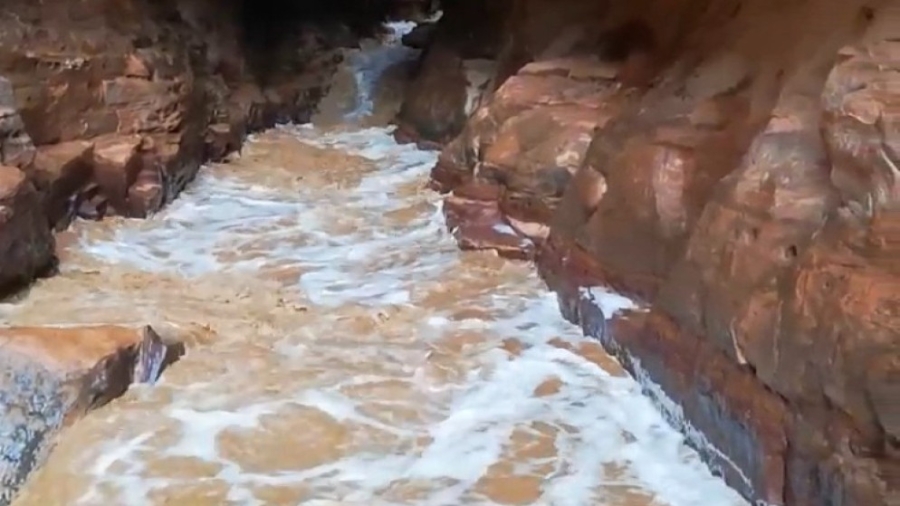 محافظة معان: سياح أجانب دهمتهم السيول بالشوبك كانوا دون دليل سياحي