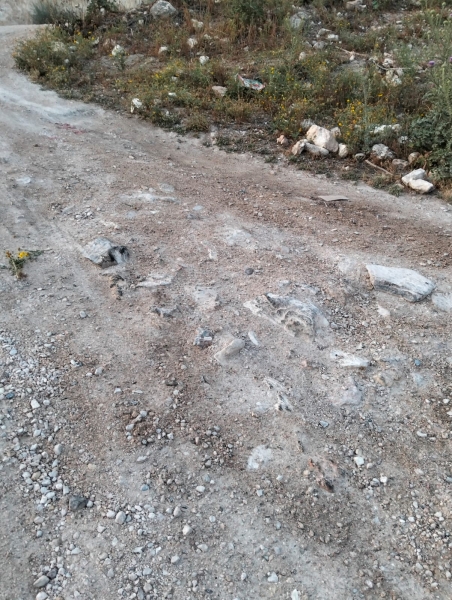 مزارعو كفرسوم يطالبون بإصلاح طريق بساتين الرمان لإنقاذ موسم الإنتاج