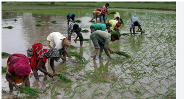 أول شكوى اقتصادية بسبب الحرب بين الهند وباكستان