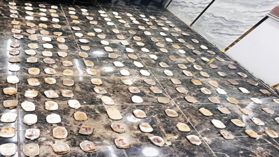 المنطقة العسكرية الشرقية تحبط محاولة تسلل وتهريب مواد مخدرة قادمة من سوريا