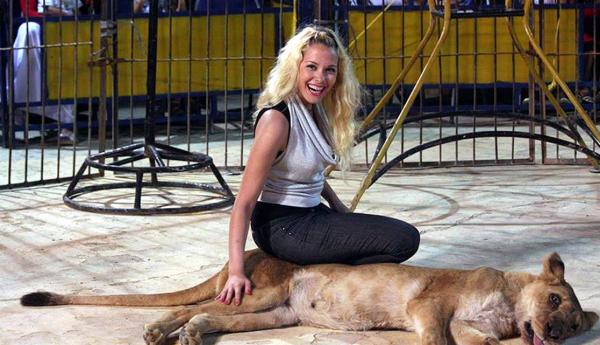 أسد يلتهم يد شخص .. وإحالة مدربته إلى المحاكمة في مصر