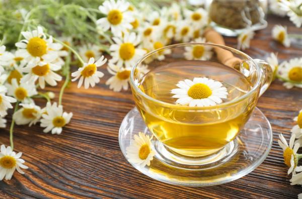 بين الاسترخاء والتحذير الطبي .. شاي البابونج للحامل