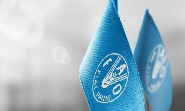 الفاو  تحذر من انعدام الامن الغذائي الحاد في غزة