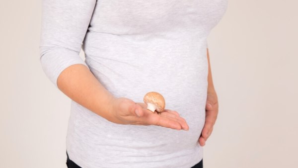 ماذا يفعل المشروم للحامل؟