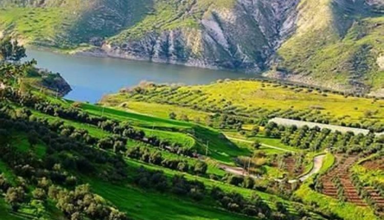 زراعة الأغوار الشمالية تدعو لتنظيم الري لمواجهة موجة الحر المتوقعة