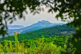 جهود بيئية وسياحية للوقاية من حرائق الغابات في عجلون