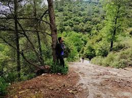 مديرية زراعة جرش تستحدث محطة حراج في وديان الشام لمنع الاعتداءات ومراقبة المنطقة